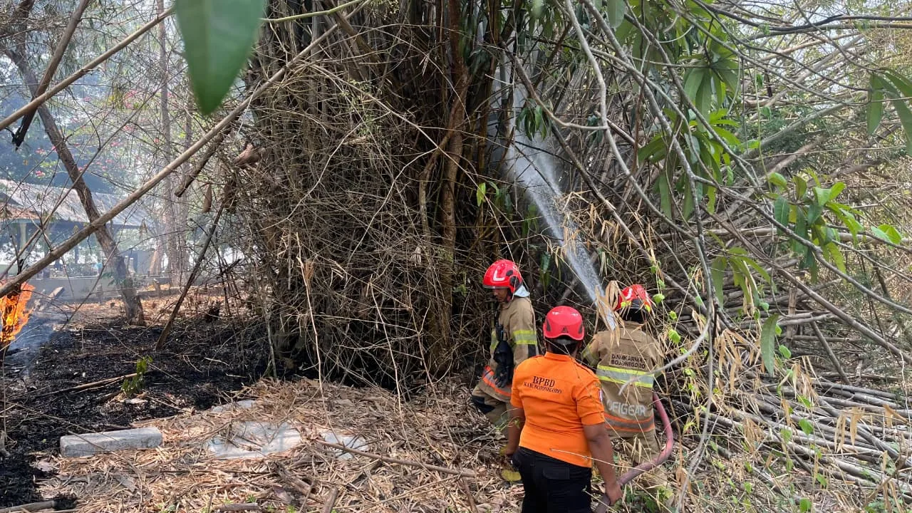 Penanganan Kebakaran Rumpun Bambu