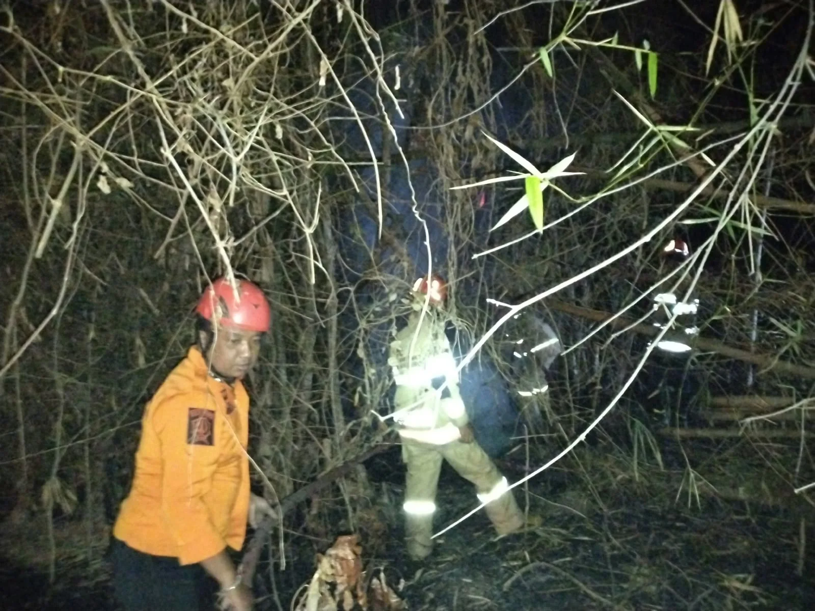 DIni hari Kebakaran Terjadi DI Rumpun Bambu