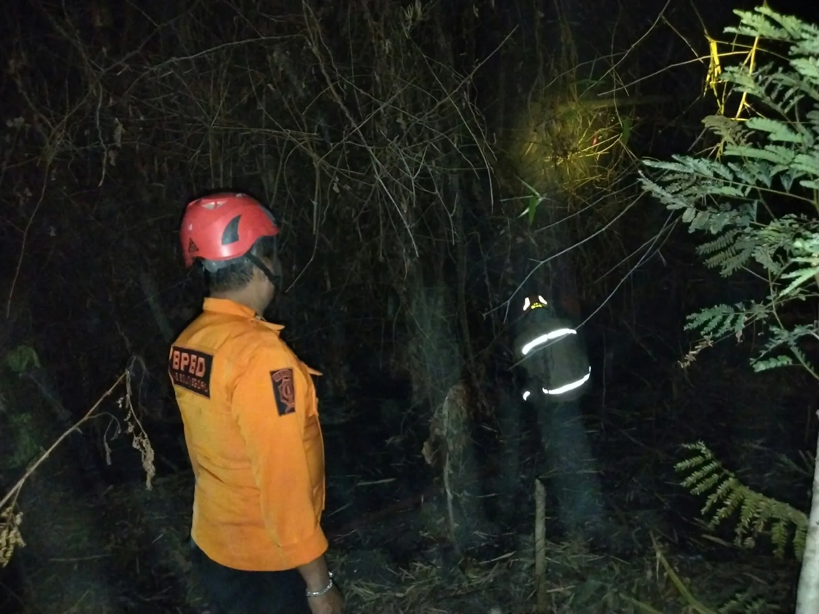 DIni hari Kebakaran Terjadi DI Rumpun Bambu