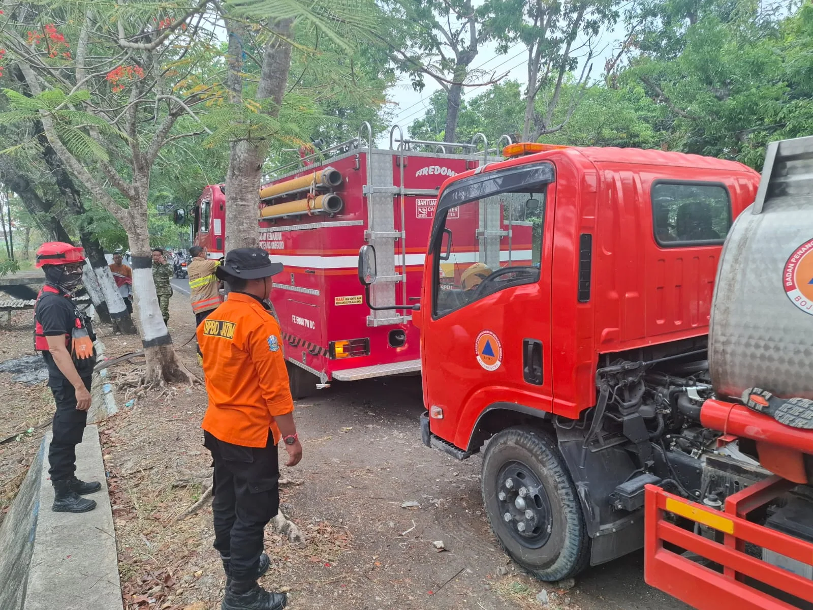 Penanganan Kebakaran Lahan Di Dander