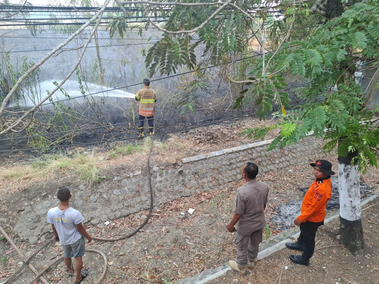Penanganan Kebakaran Lahan Di Dander
