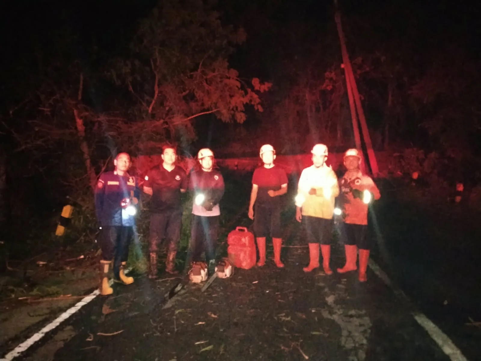 Penyerahan Pohon Tumbang