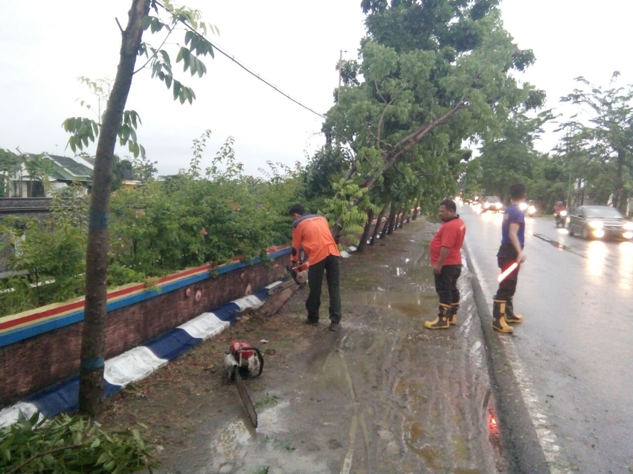 Pohon Tumbang