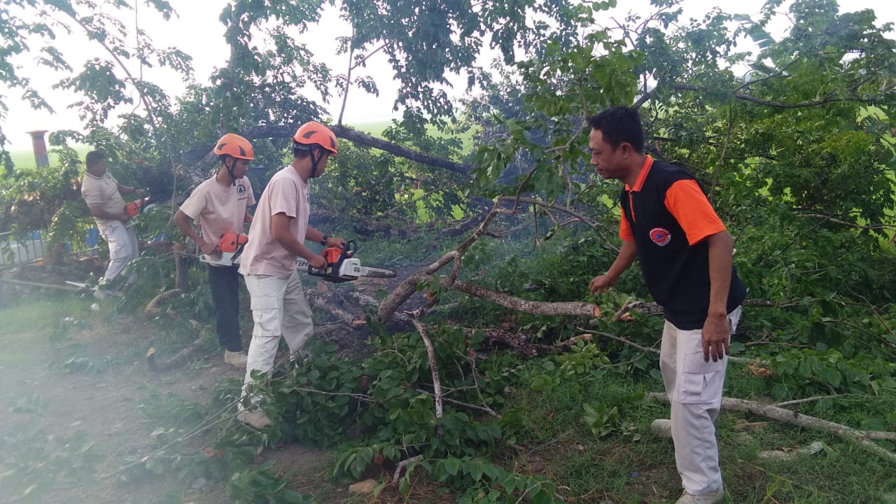 Pohon tumbang di Ds. Padang Kec. trucuk