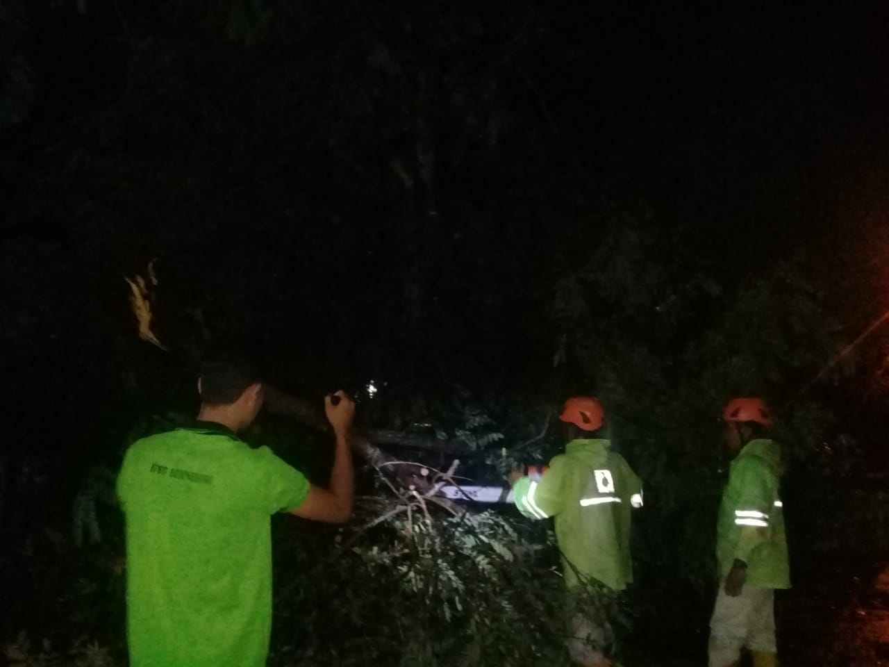 Pohon Tumbang