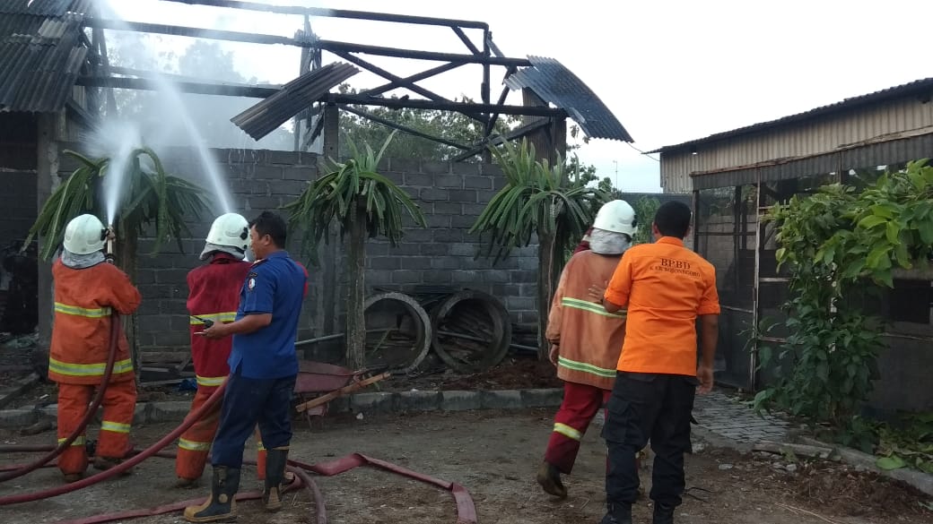Kebakaran Kandang Ternak di Ds. Plesungan Kec. Kapas