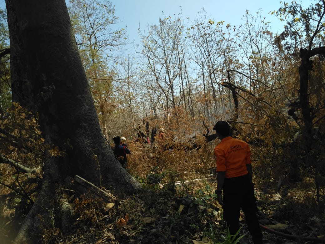 Kebakaran Lahan di Ds. Sumberejo Kec. Trucuk