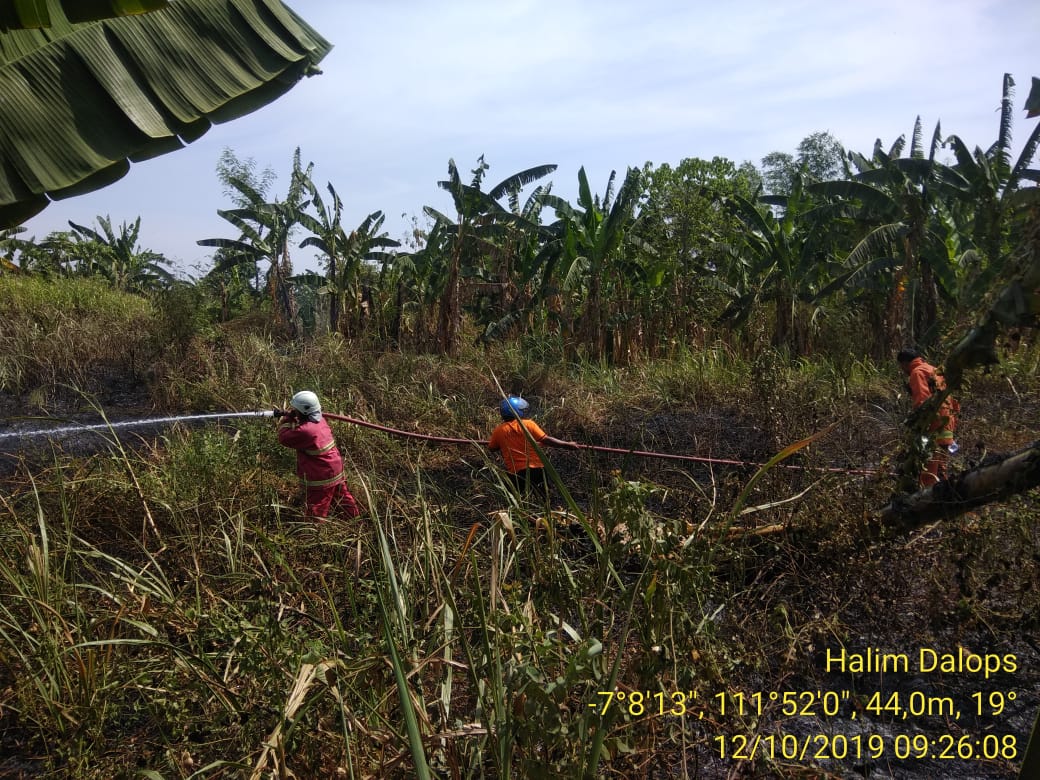 Kebakaran Lahan Kosong di Kelurahan Ledok Kulon Kec. Bojonegoro