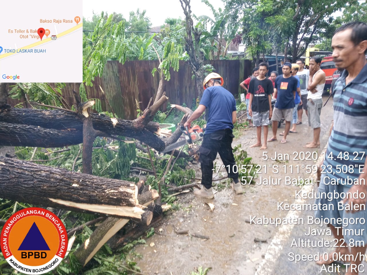Pohon Tumbang Di Desa Kedungbondo dan Jl. Untung suropati