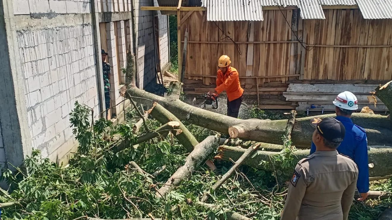 Penangganan dan Assement Akibat Angin Kencang