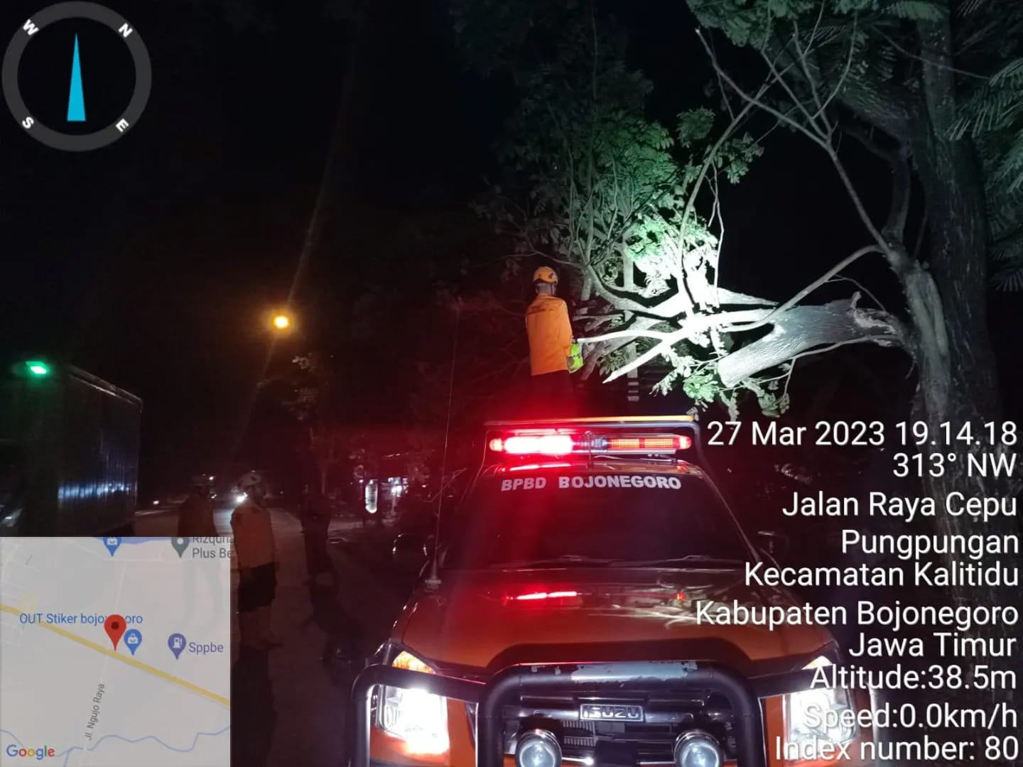 Pemotongan Pohon Tumbang di Desa Ngujo Kecamatan Kalitidu
