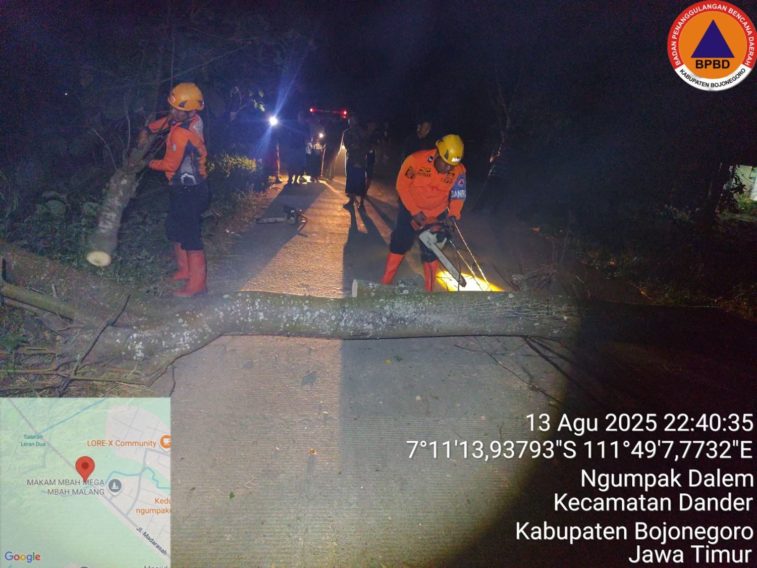 Penanganan Pohon Tumbang
