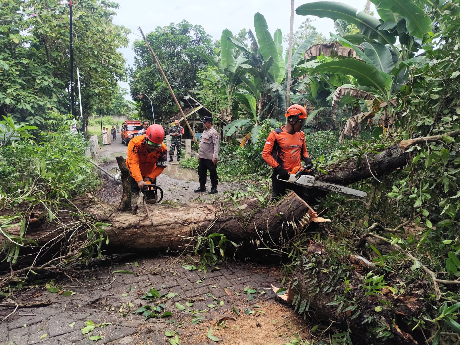 Dampak Cuaca Ekstrim selama Bulan Oktober 2025
