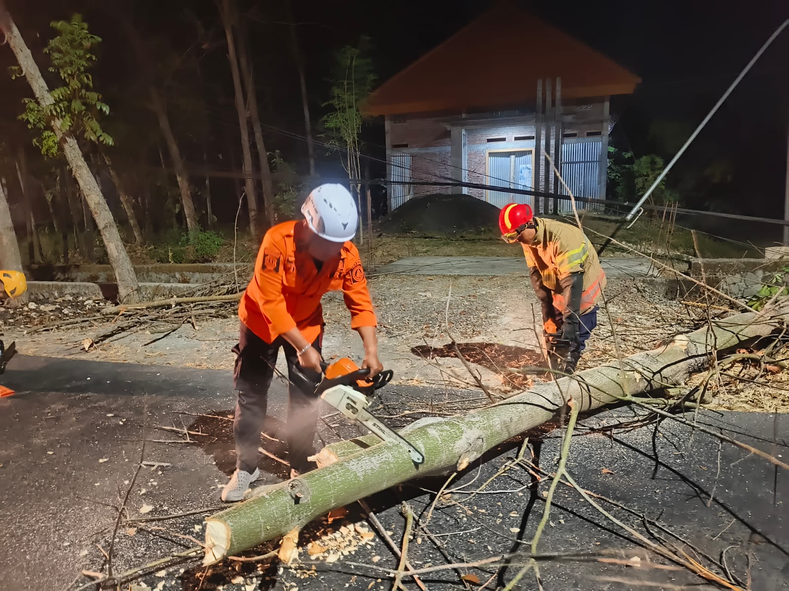BPBD Bersama Damkarmat Tangani Pohon Tumbang