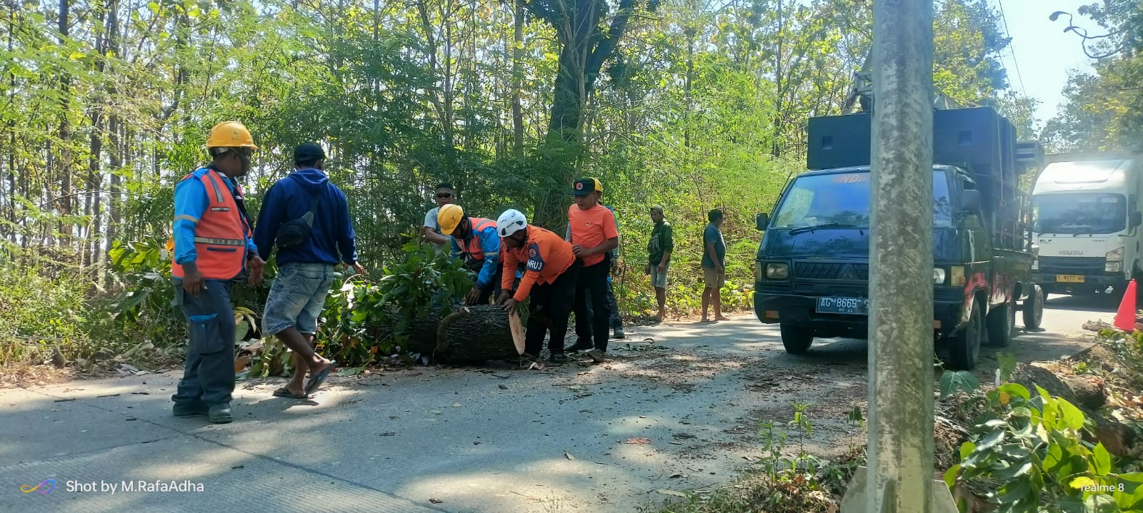 BPBD Dan PLN Evakuasi Pohon Tumbang