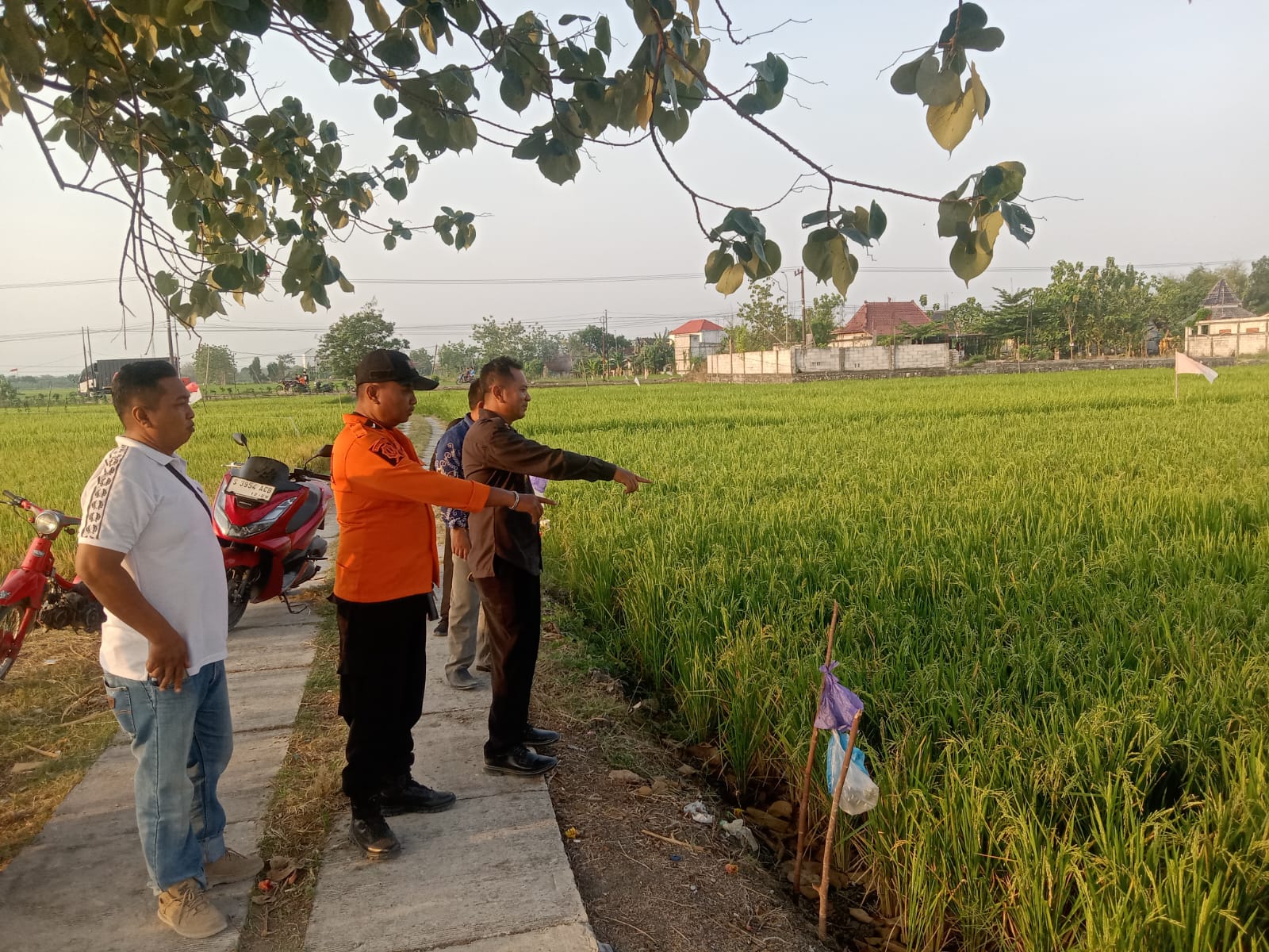 BPBD Bersama Pihak Kecamatan Ngraho Lakukan SUrvei