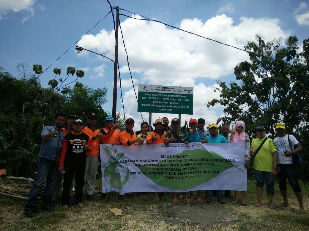 Penanaman Pohon Mangrove
