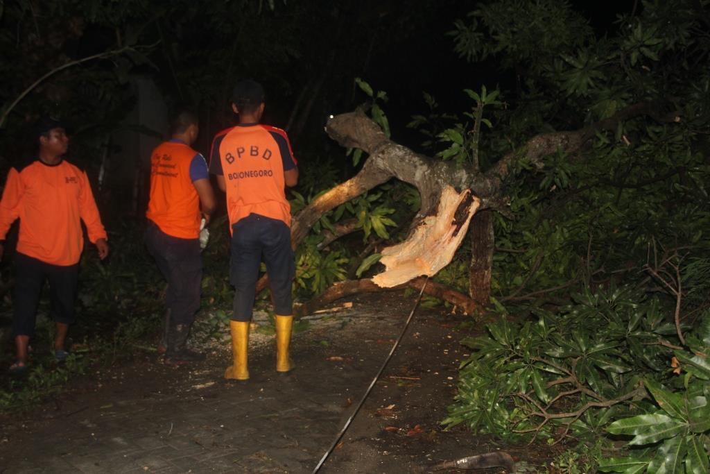 Angin Puting Beliung Kabupaten Bojonegoro