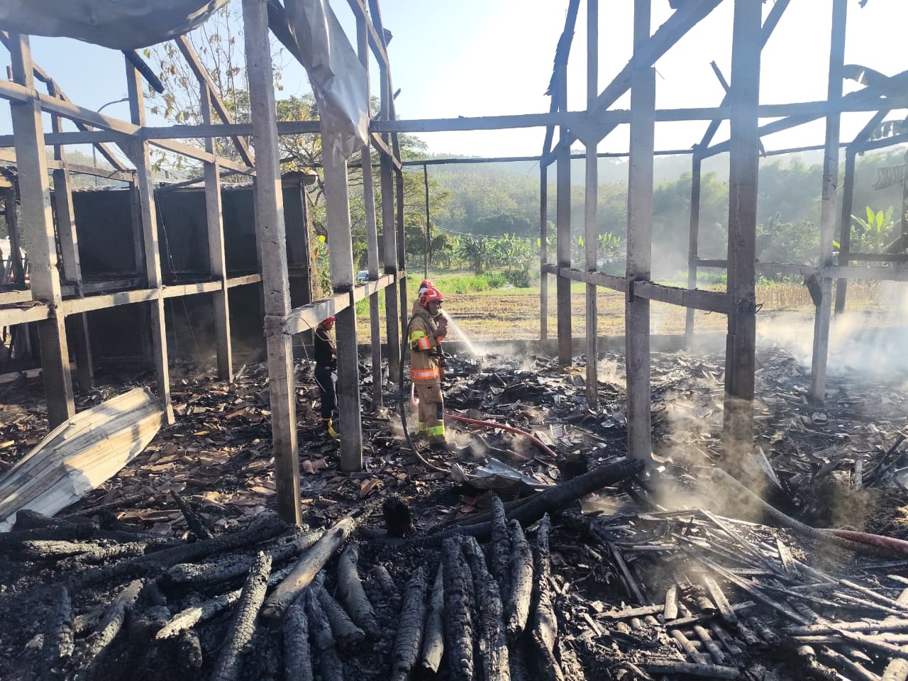 Penanganan Kebakaran Kandang Ayam Di Desa Tanggir