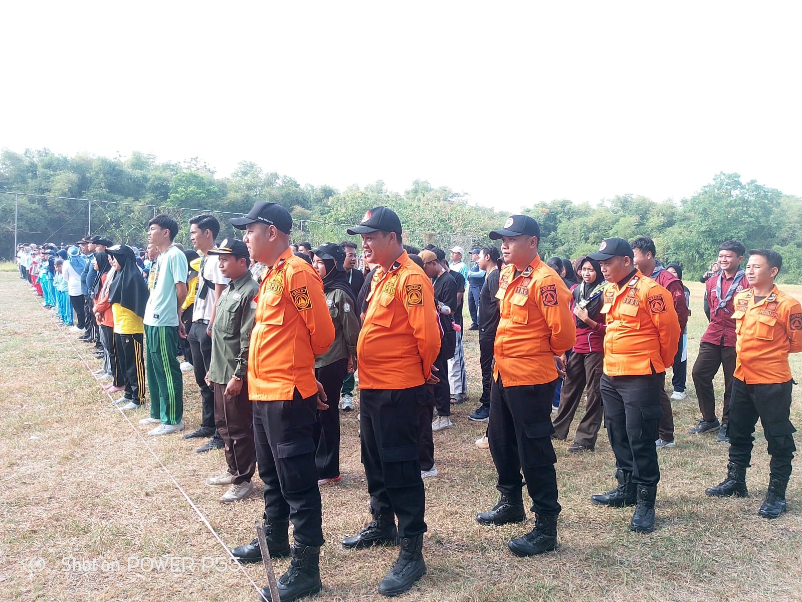 Gerakan Menanam Pohon