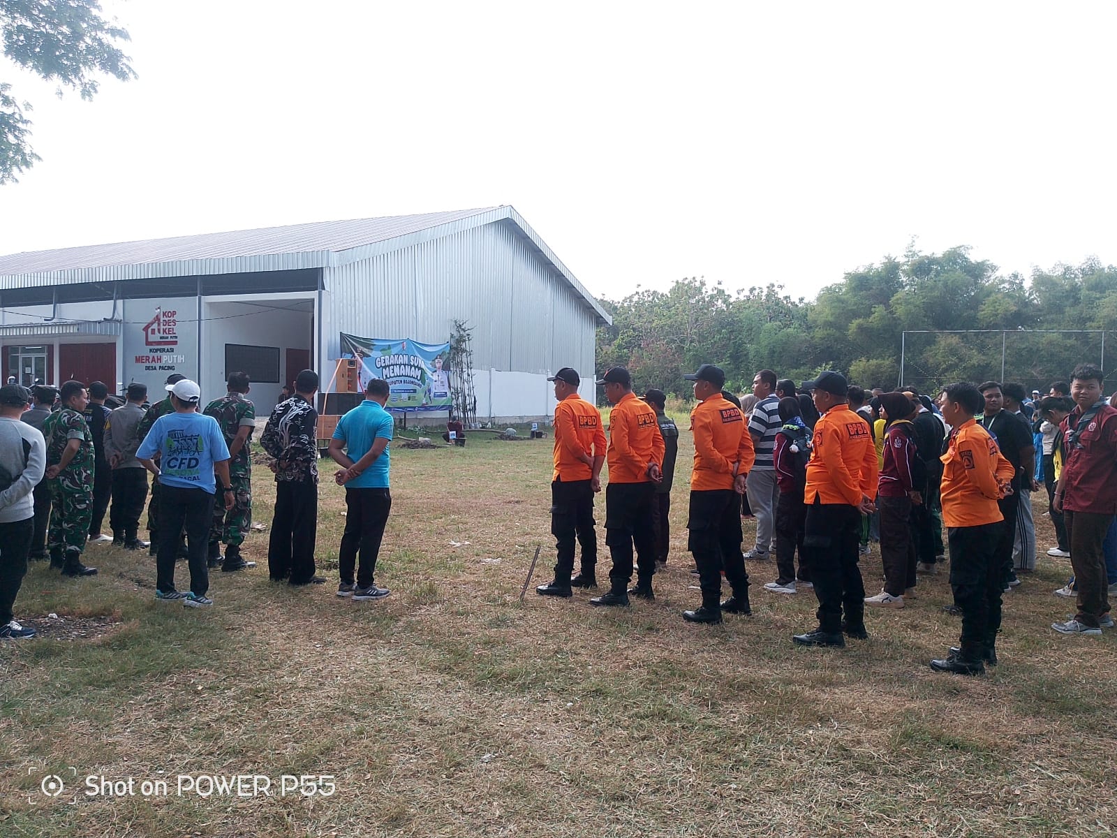 Gerakan Menanam Pohon