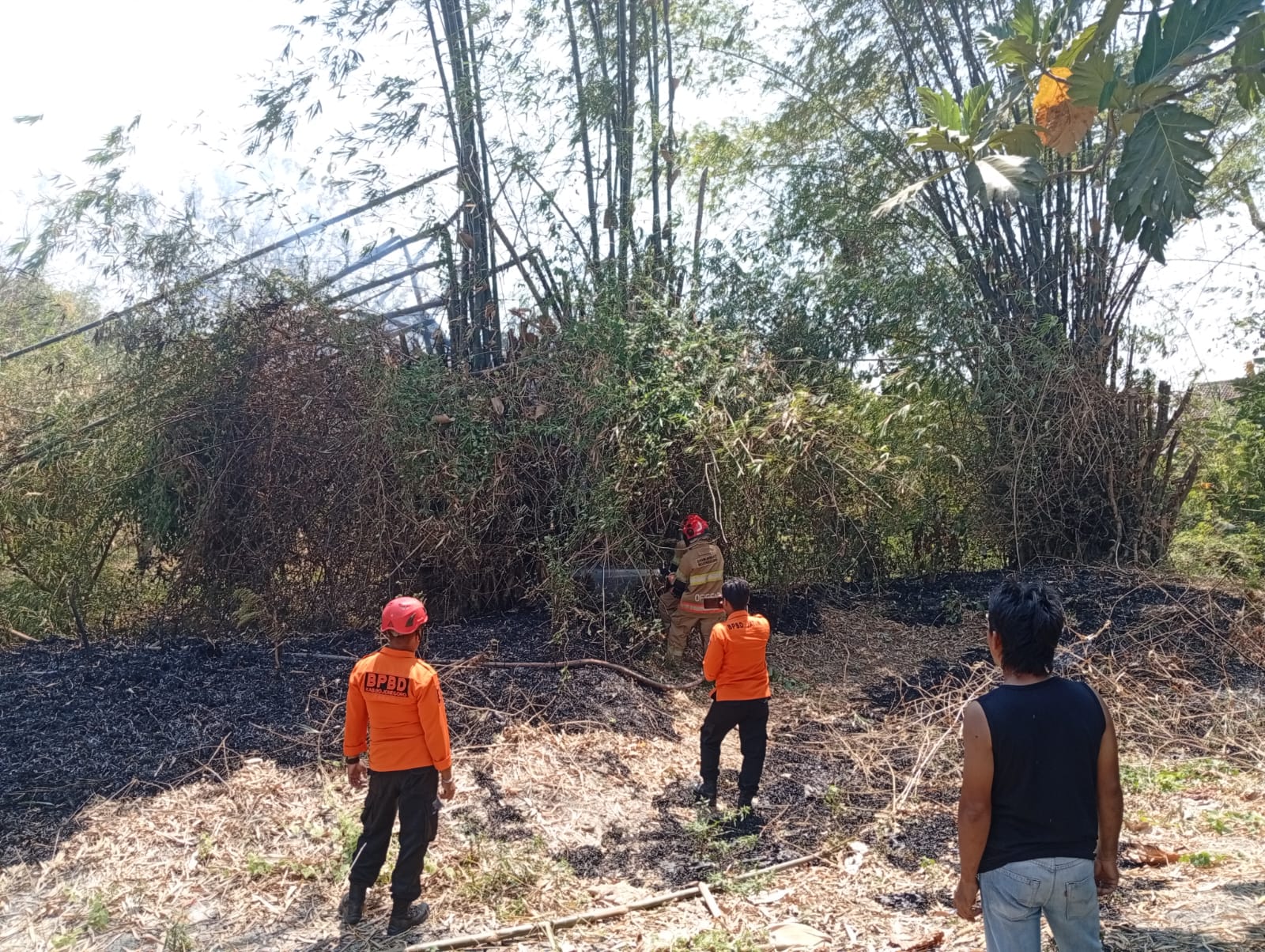 21 Sept 2026- Penanganan Kebakaran Rumpun Bambu