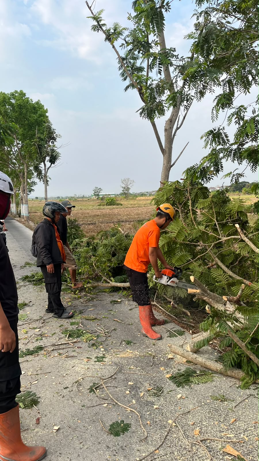 7 Okt 26-Penanganan Pohon Tumbang