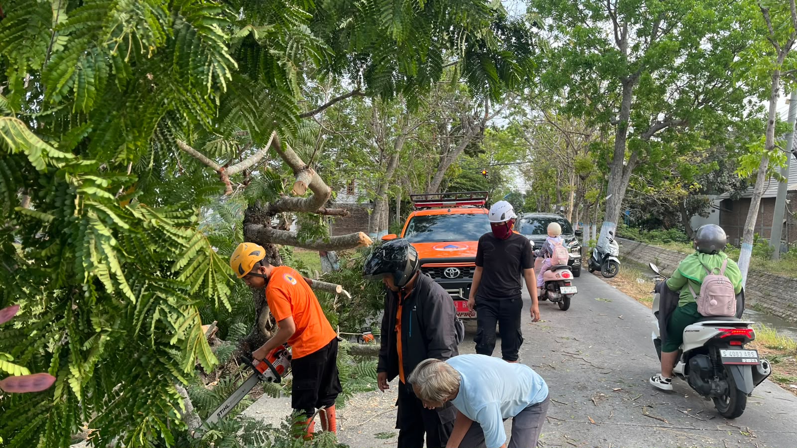 7 Okt 26-Penanganan Pohon Tumbang